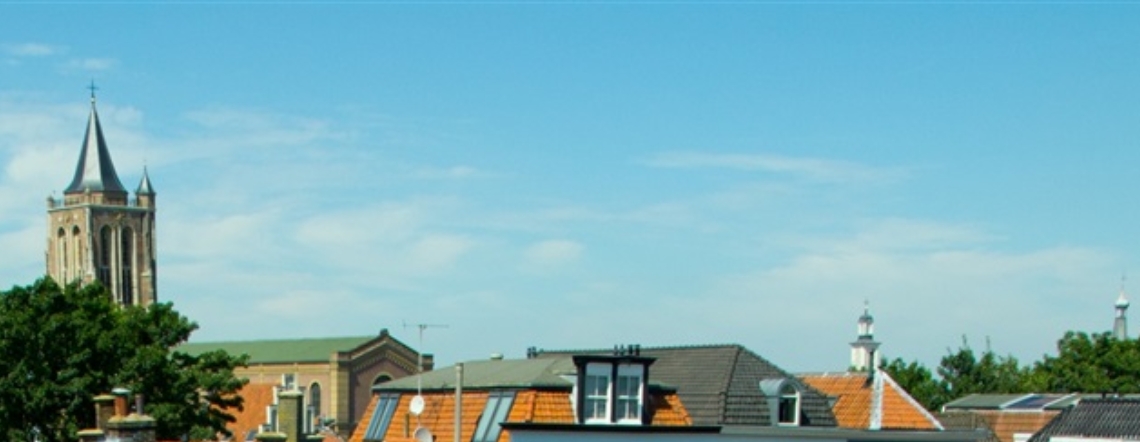 Een warm ingerichte woonkamer met fauteuil en planten
